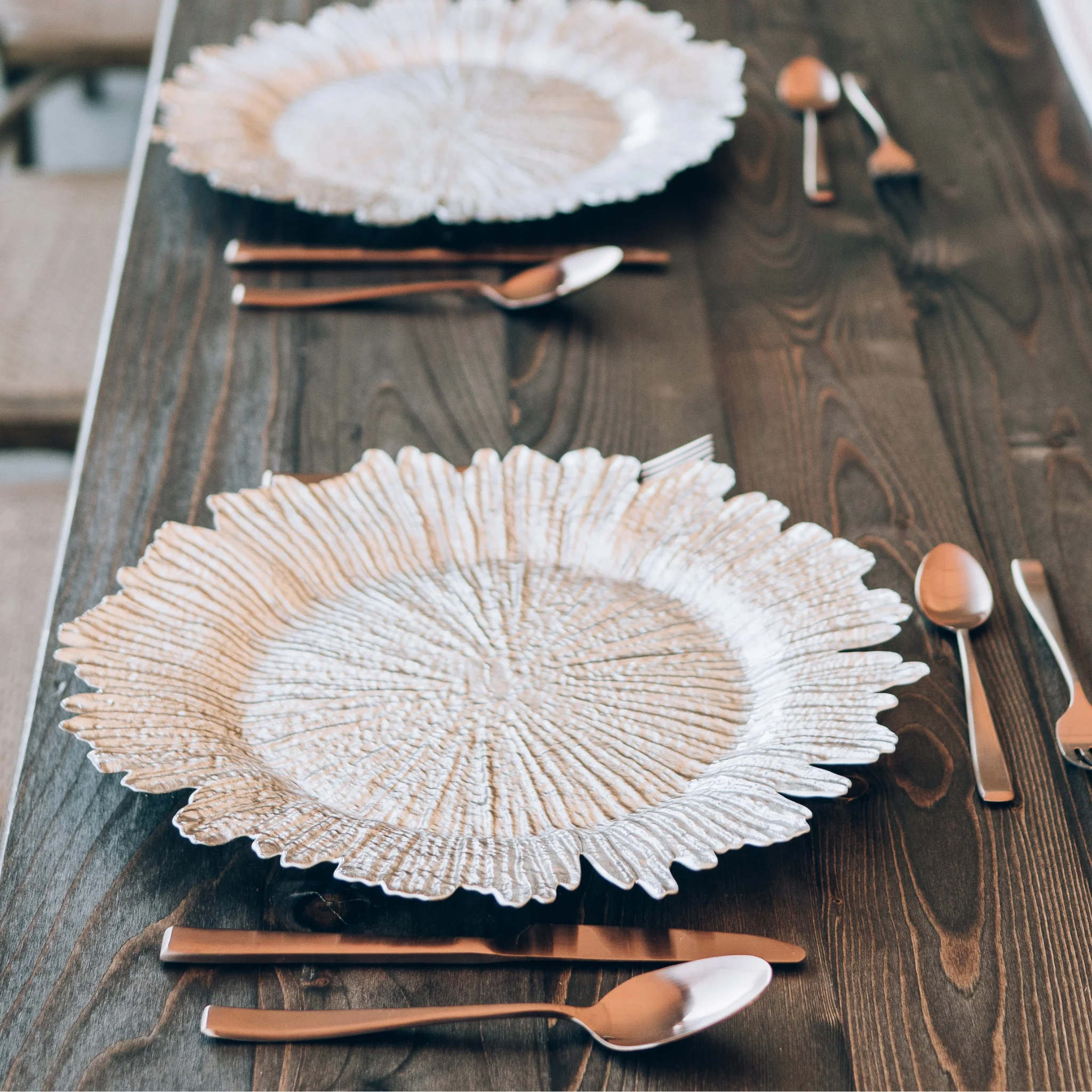 Reef Acrylic Charger Plate - Silver - Image 3